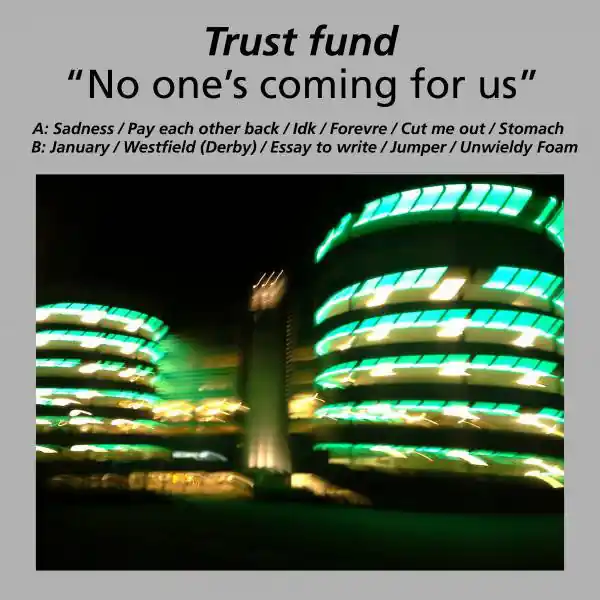 Trust Fund - No-one#s Coming For Us (Arrives in 4 days ) Direct From Manufacturer