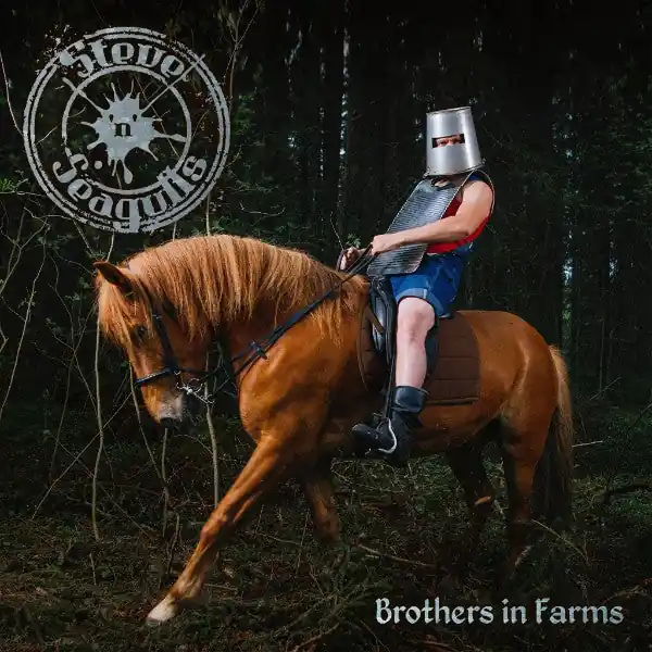 Steve'n'Seagulls ‎– Brothers In Farms (Arrives in 4 days ) Secure Checkout