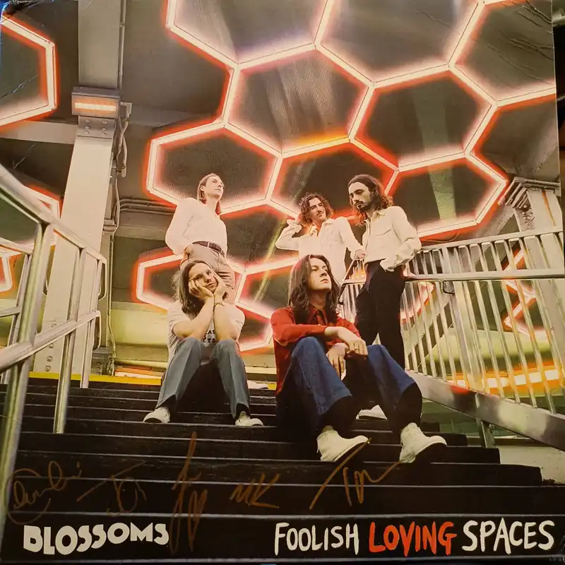 Sale Blossoms – Foolish Loving Spaces (Arrives in 4 days)