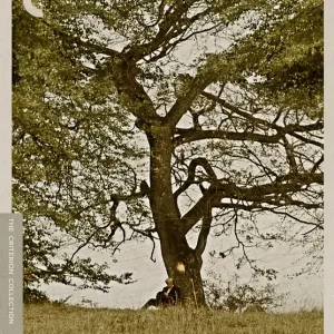 The Emigrants/The New Land[Blu Ray] [The Criterion Collection] [Arrives in 30 Days] Bulk Order