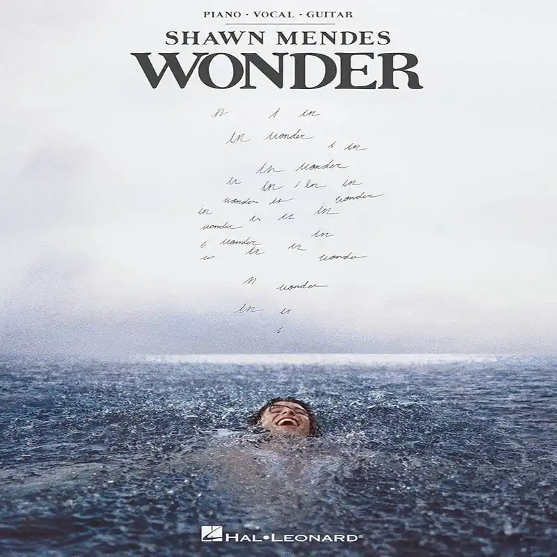Special Discount Shawn Mendes – Wonder (Used Vinyl - NM) ND Marketplace