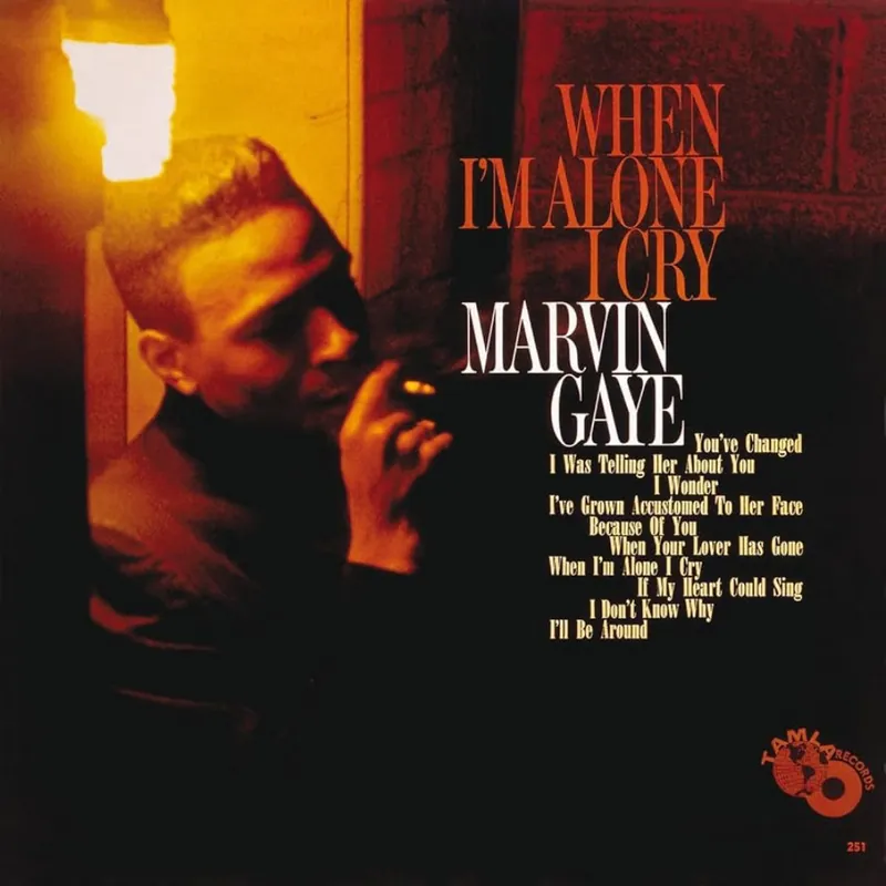 Save Now Marvin Gaye – When I'm Alone I Cry (Used Vinyl - VG+) ND Marketplace