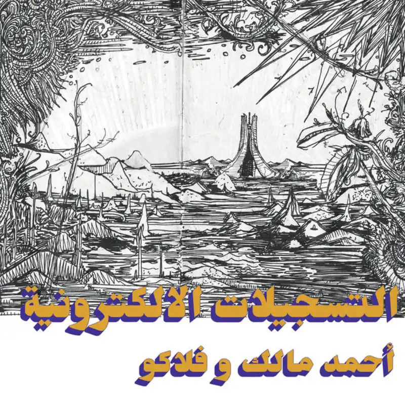 Holiday Sale Ahmed MALEK / FLAKO - The Electronic Tapes (Habibi Funk) (Arrives in 21 Days)