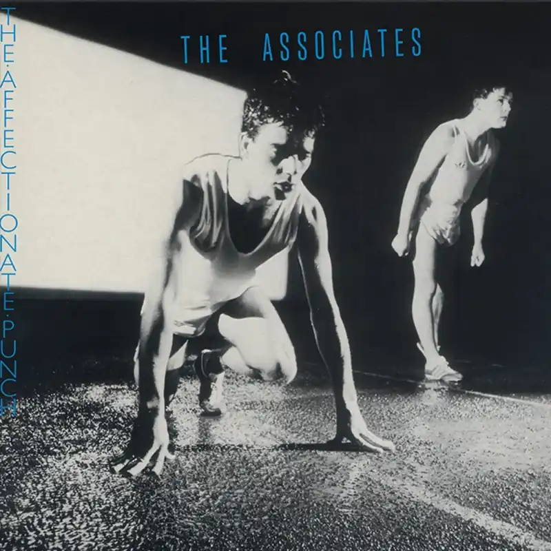 The Associates – The Affectionate Punch (Music On Vinyl) (Arrives in 21 Days) Money Back Guarantee