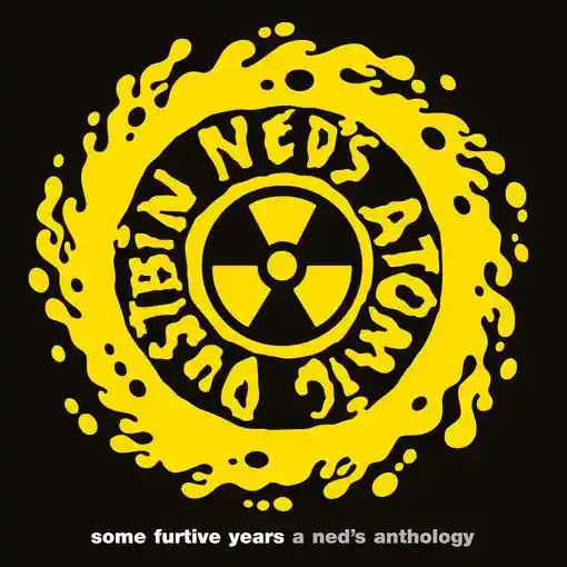 While Supplies Last Ned's Atomic Dustbin – Some Furtive Years: A Ned's Anthology (Music On Vinyl) (Arrives in 21 Days)