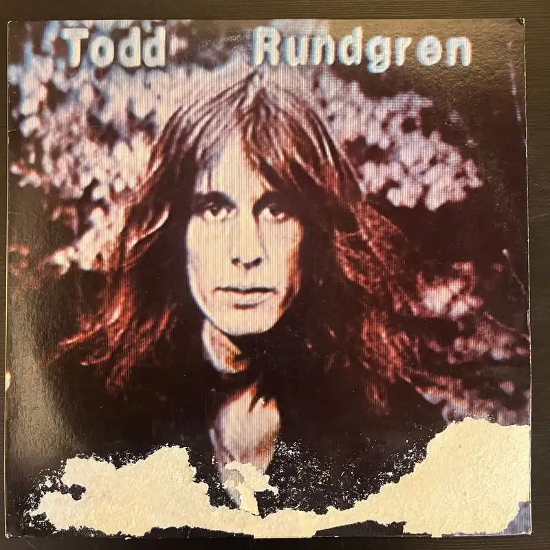 Todd Rundgren – Hermit Of Mink Hollow (Used Vinyl - VG) KV Marketplace Limited Time