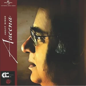 Aeena - Jagjit Singh ( Arrives in 4 days ) Reduced Price