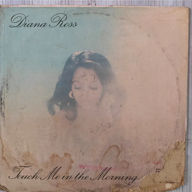 Shop Now Diana Ross – Touch Me In The Morning (Indian Pressing) (Used Vinyl - VG+) PJ Marketplace