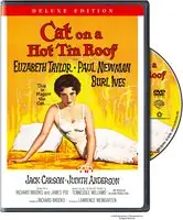 Next Day Delivery Cat on a Hot Tin Roof