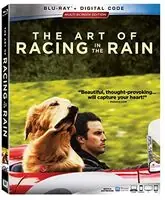 Get Yours The Art of Racing in the Rain