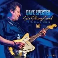 Save Now Six String Soul: 30 Years On Delmark