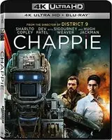 Factory Price Chappie (Wbr)