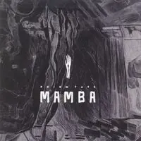 Mamba Save Now