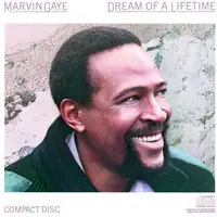 Dream of a Lifetime Free Delivery