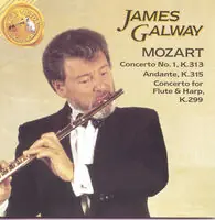 Flute Concerti Direct From Factory