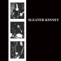 Professional Grade Sleater-Kinney [Remastered Vinyl]