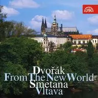 Mega Sale Symphony 9 / Vltava