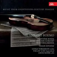 Direct From Factory Il Violino Boemo