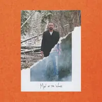 Express Delivery Man Of The Woods
