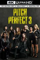 Pitch Perfect 3 Bulk Order