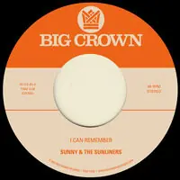 I Can Remember B/W Sitting In The Park Discount