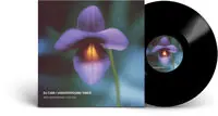Low Price Underground Vibes (30th Anniversary) (Aniv)