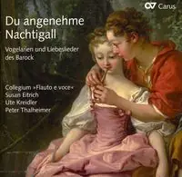 Du Angenehme Nachtigall Free Returns
