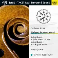 Hot Deal String Quartets