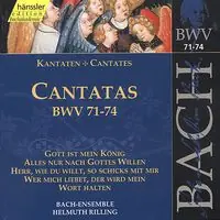 Sacred Cantatas Bwv 71-74 Factory Price