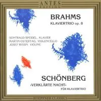 Piano Trios / Verklarte Nachte Authentic