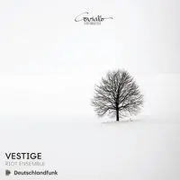 Top Pick Vestige