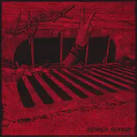 Sewer Surge Best Price