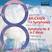 Popular Bruckner Symphonies Vol. 8