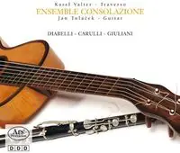 No Minimum Order Music Traverso Guitar