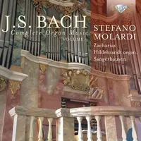 Super Sale Comp Organ Music 3