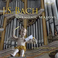 Next Day Delivery Harmonic Seasons