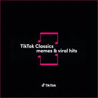 Best Seller Tik Tok Classics: Memes & Viral Hits / Various