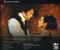 Hot Deal Marriage of Figaro