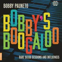 Final Sale Bobby's Boogaloo: Rare Seeco Sessions & Influences