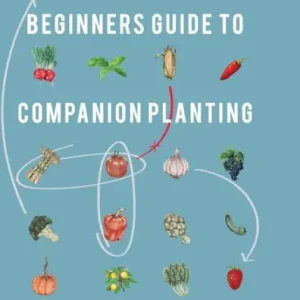 Beginners Guide to Companion Planting: Gardening Methods using Plant Partners to Grow Organic Vegetables Hot Deal