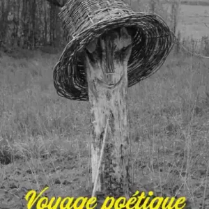 Voyage poétique dans l'imaginaire: Recueil Low Price