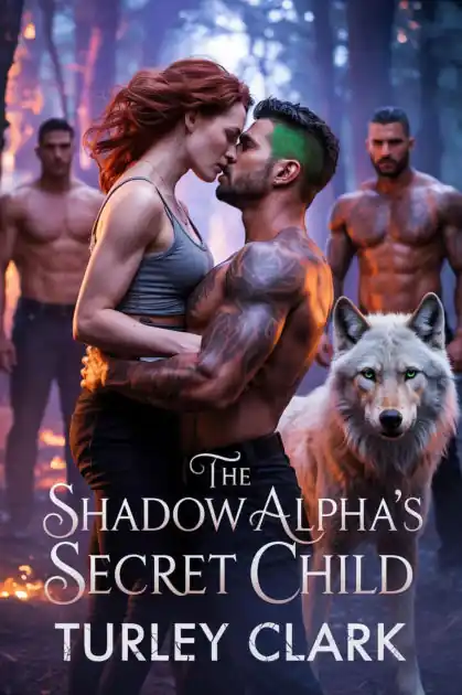 The Shadow Alpha's Secret Child: An Enemies to Lovers Rejected Mate Shifter Romance Special Offer