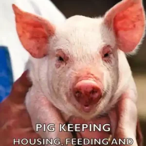 Shop Now Pig Keeping - Housing, Feeding and General Management