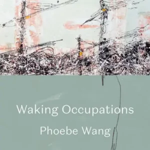 Waking Occupations: Poems Secure Checkout