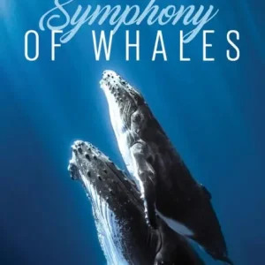 Best Choice Relax: Symphony of Whales