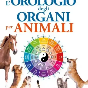 Modern L'Orologio degli organi per animali: La Medicina Tradizionale Cinese per cani, gatti e cavalli