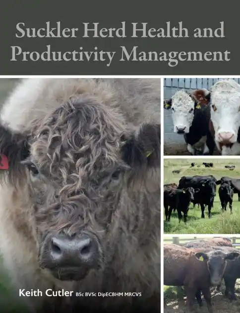 Suckler Herd Health and Productivity Management Warranty Included