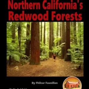 Travel Guide for Northern California's Redwood Forests Brand New