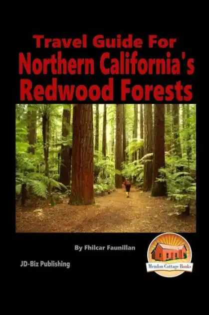 Travel Guide for Northern California's Redwood Forests Brand New