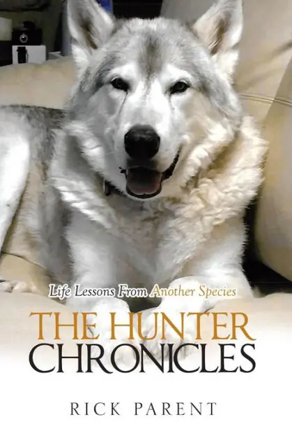 Seasonal Sale The Hunter Chronicles
